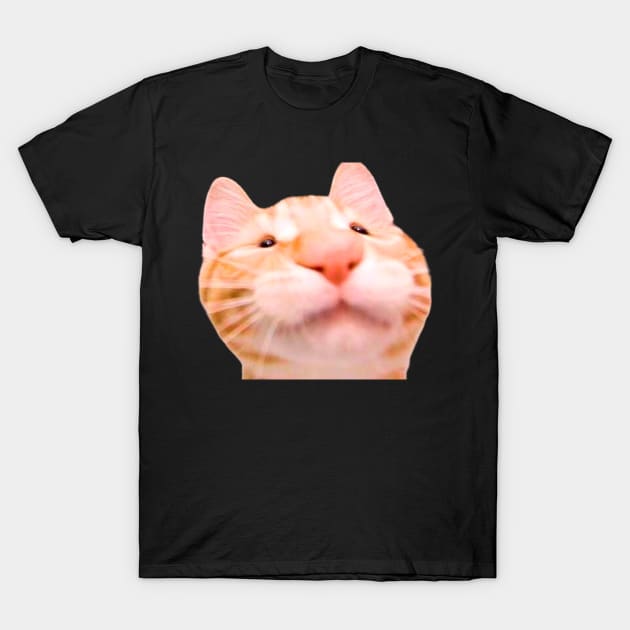 funny meh cat T-Shirt by ezzobair